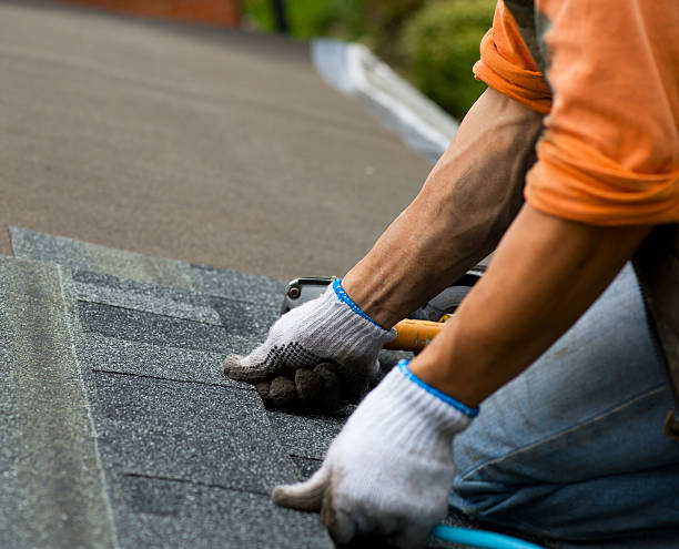 Quick and Trustworthy Emergency Roof Repair Services in West Alexandria, OH