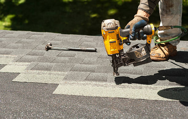 Best Roof Gutter Cleaning  in West Alexandria, OH